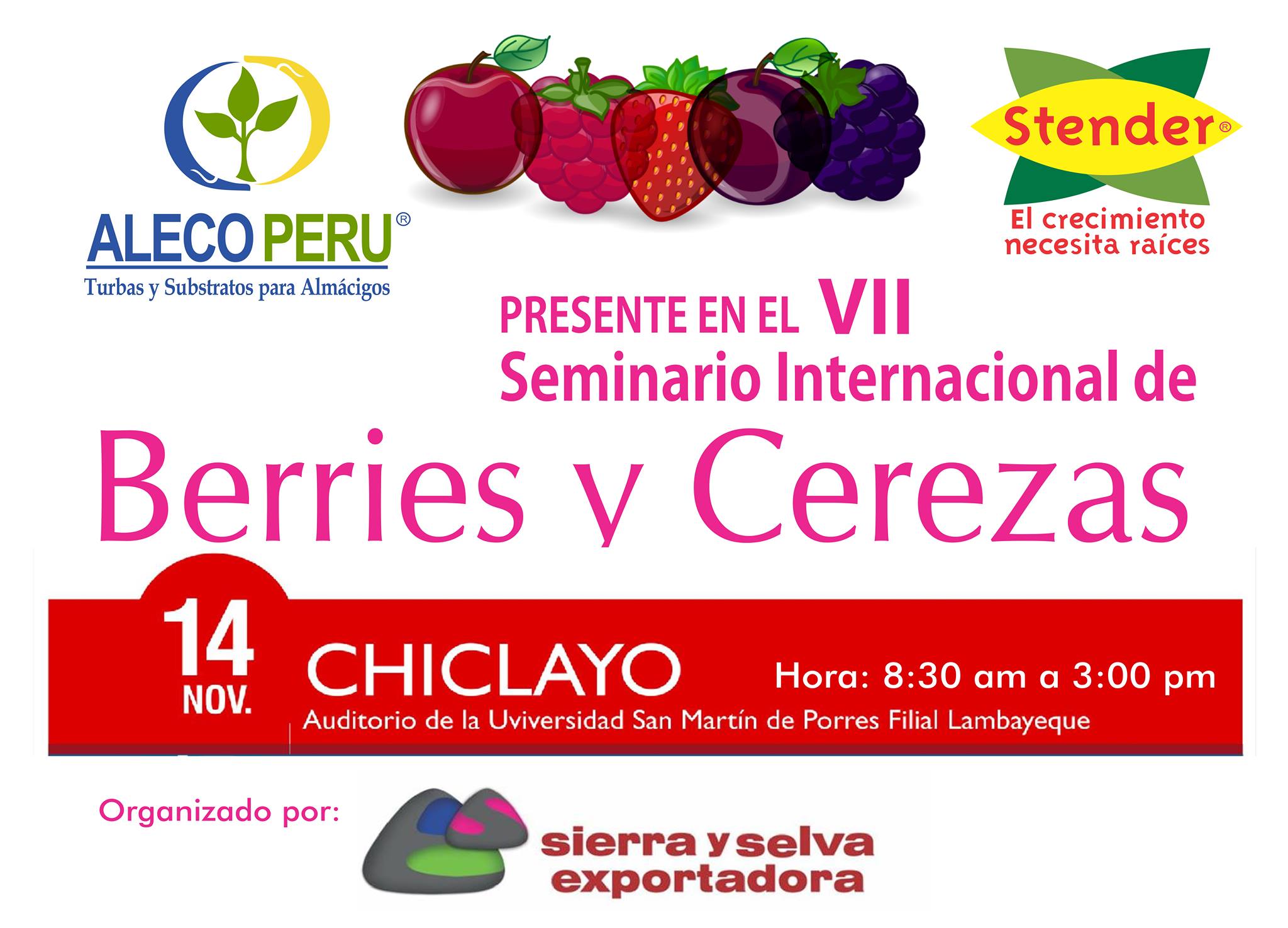 seminario-de-berries-y-cerezas - Sierra y Selva Exportadora